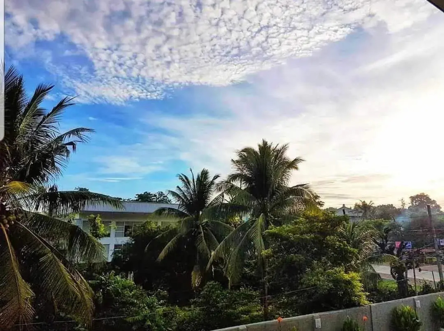 717 Cesar Place Hotel