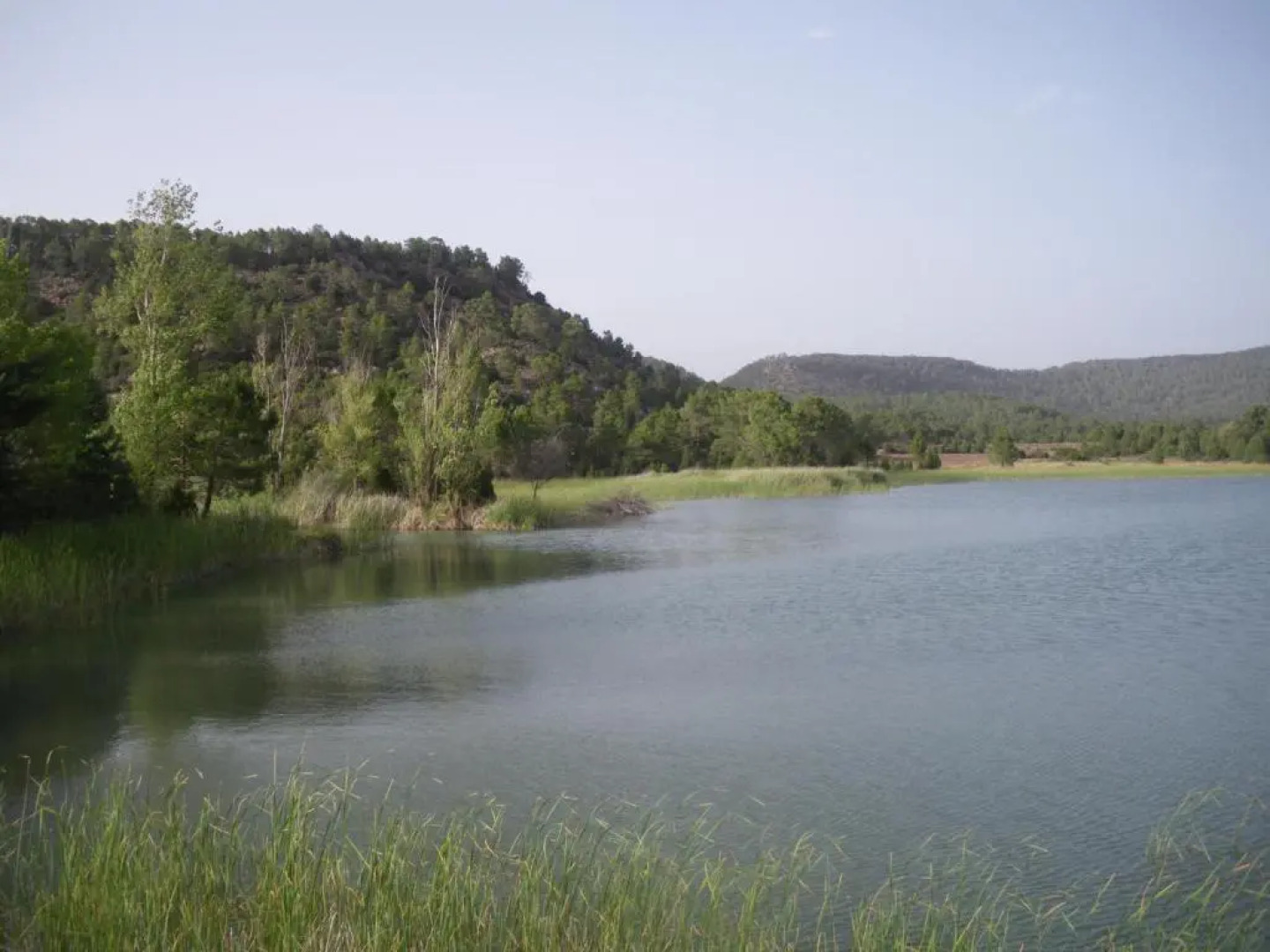 Apartamentos el Prado