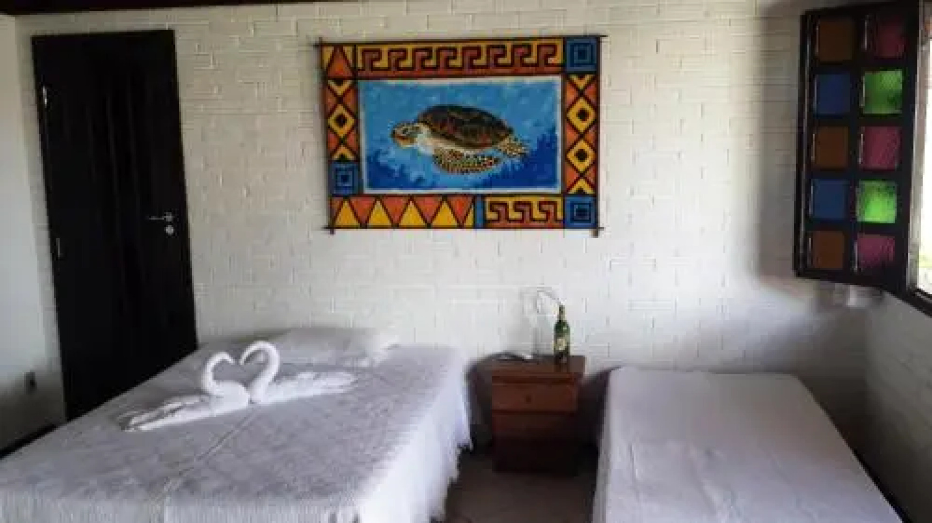 Paraíso das Tartarugas