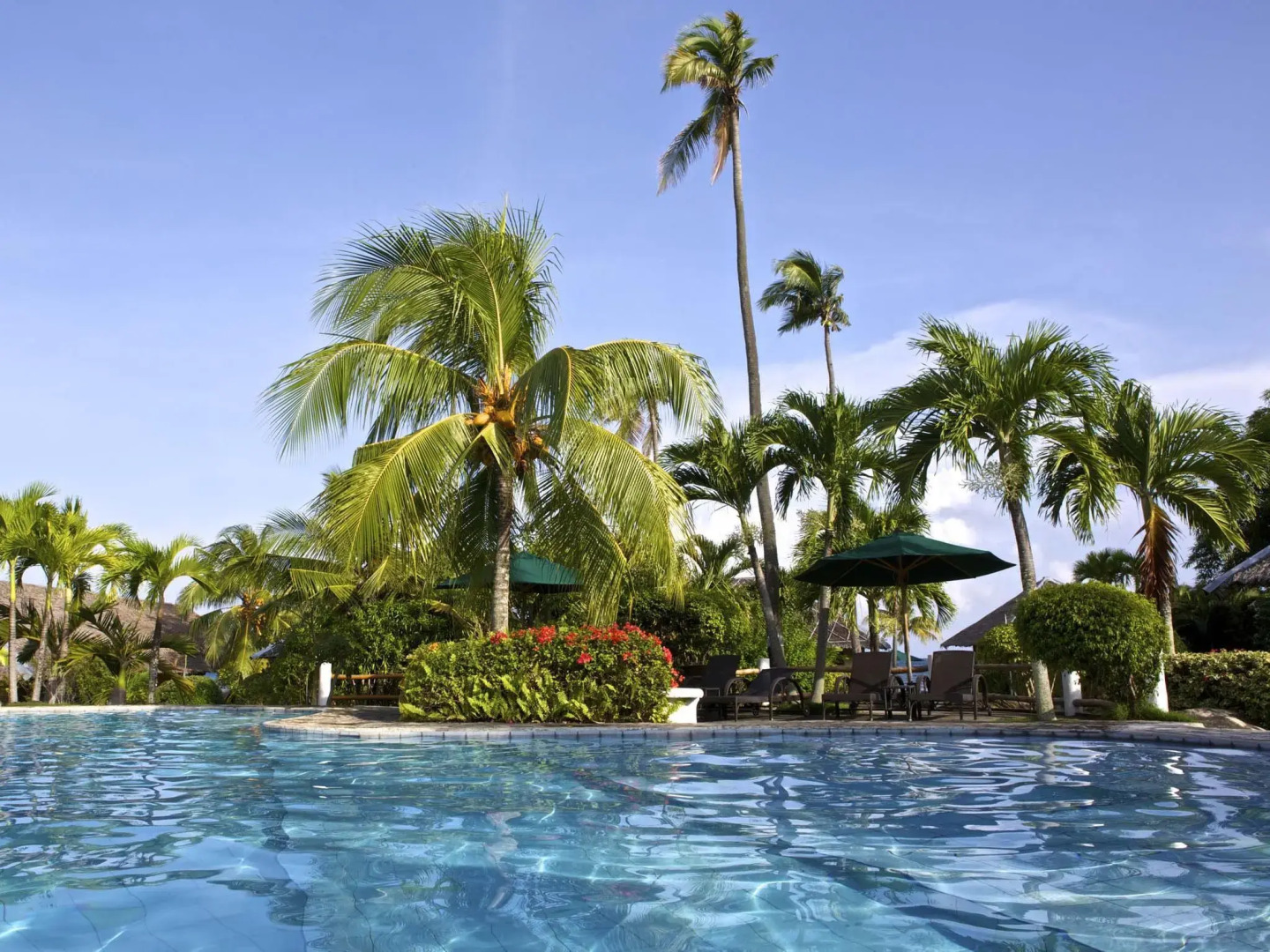 Amontillado Beach & Dive Resort