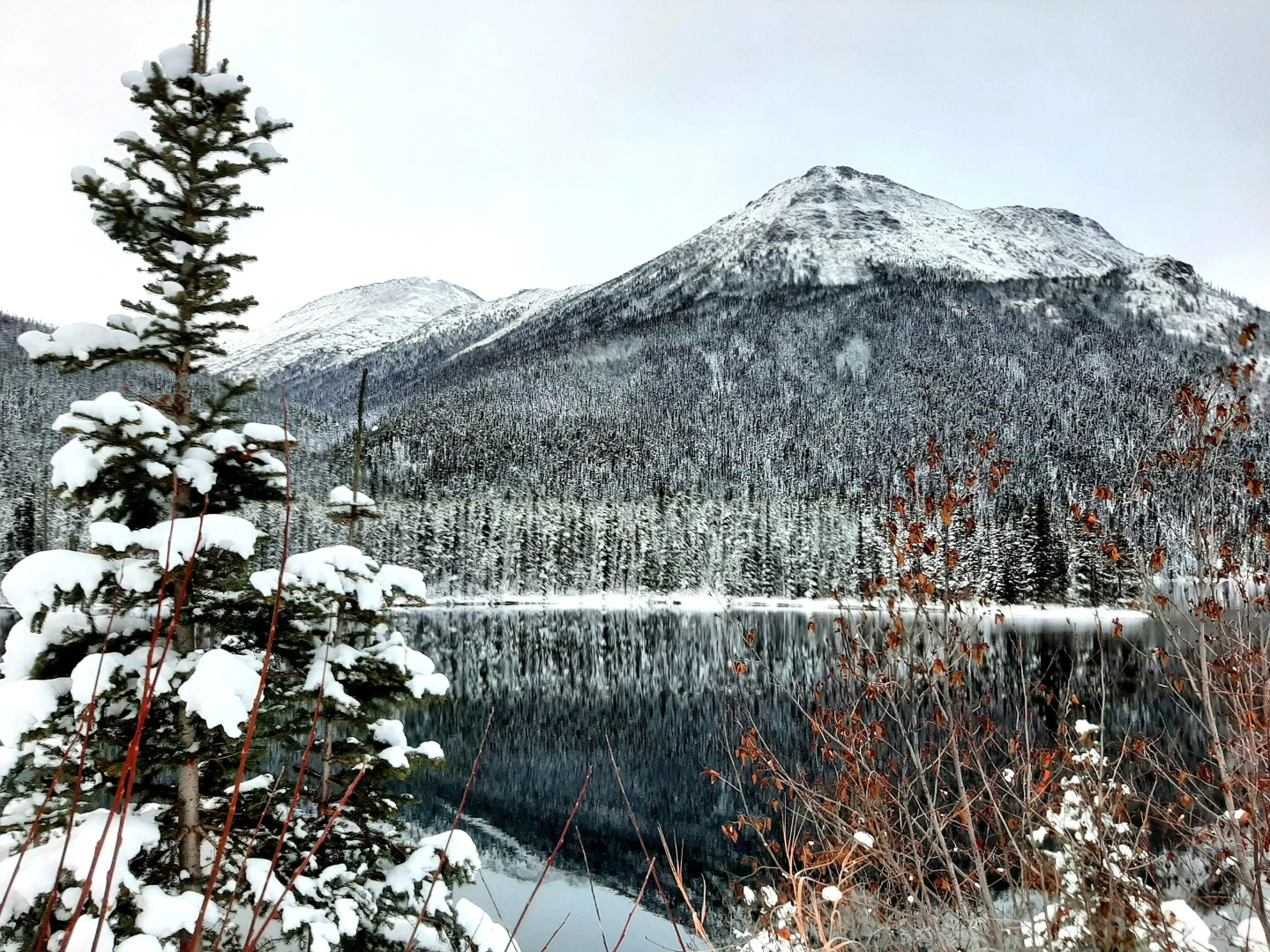 Arctic Divide Inn & Motel