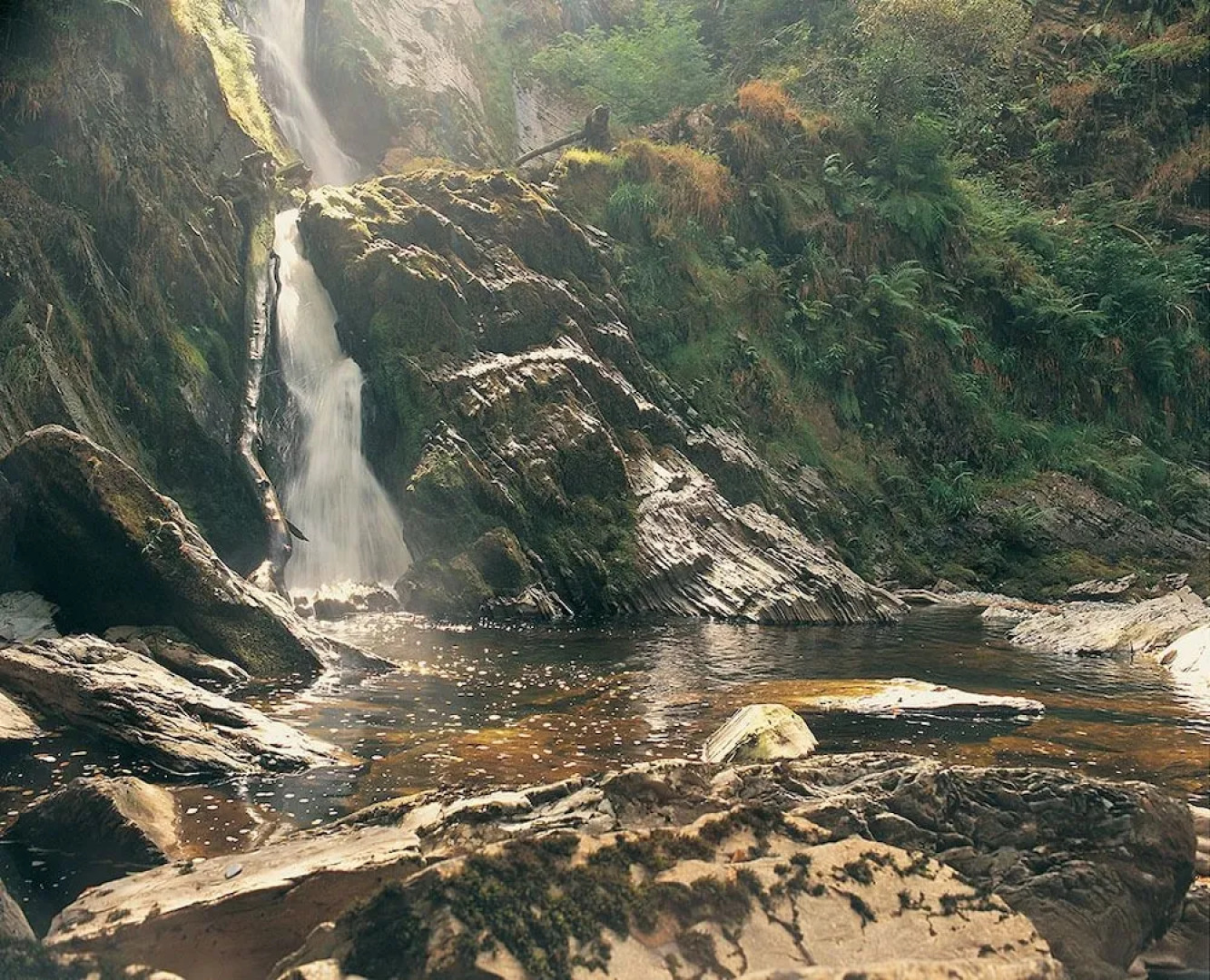 Tanyresgair Cottages