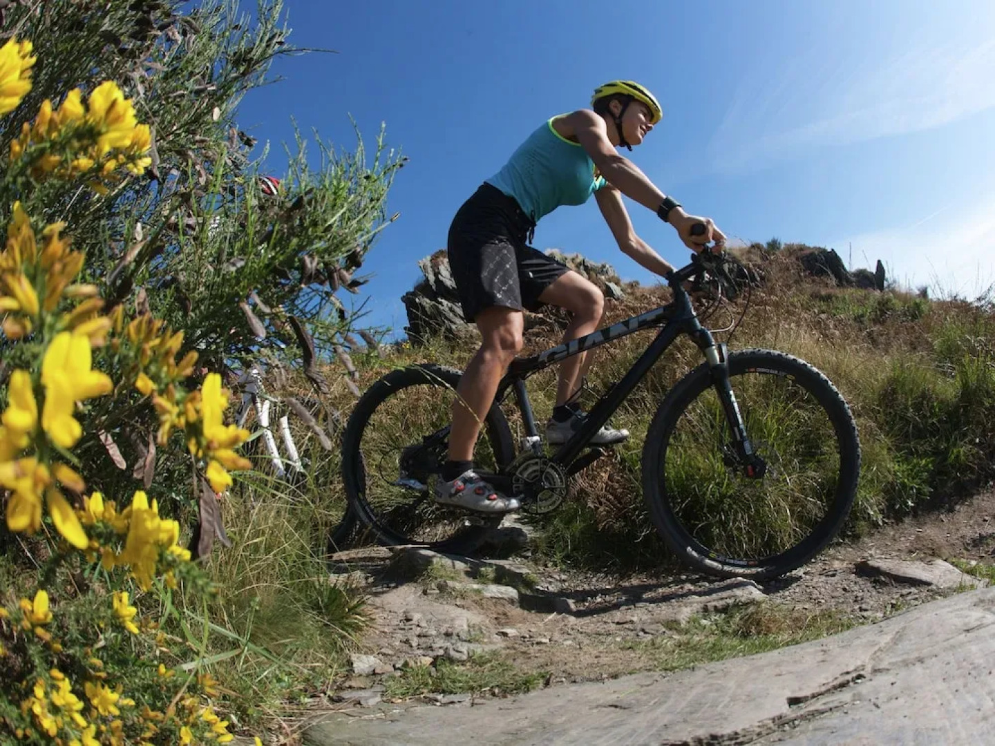 Pretty Cottage in La Chapelle-neuve Brittany With Jacuzzi