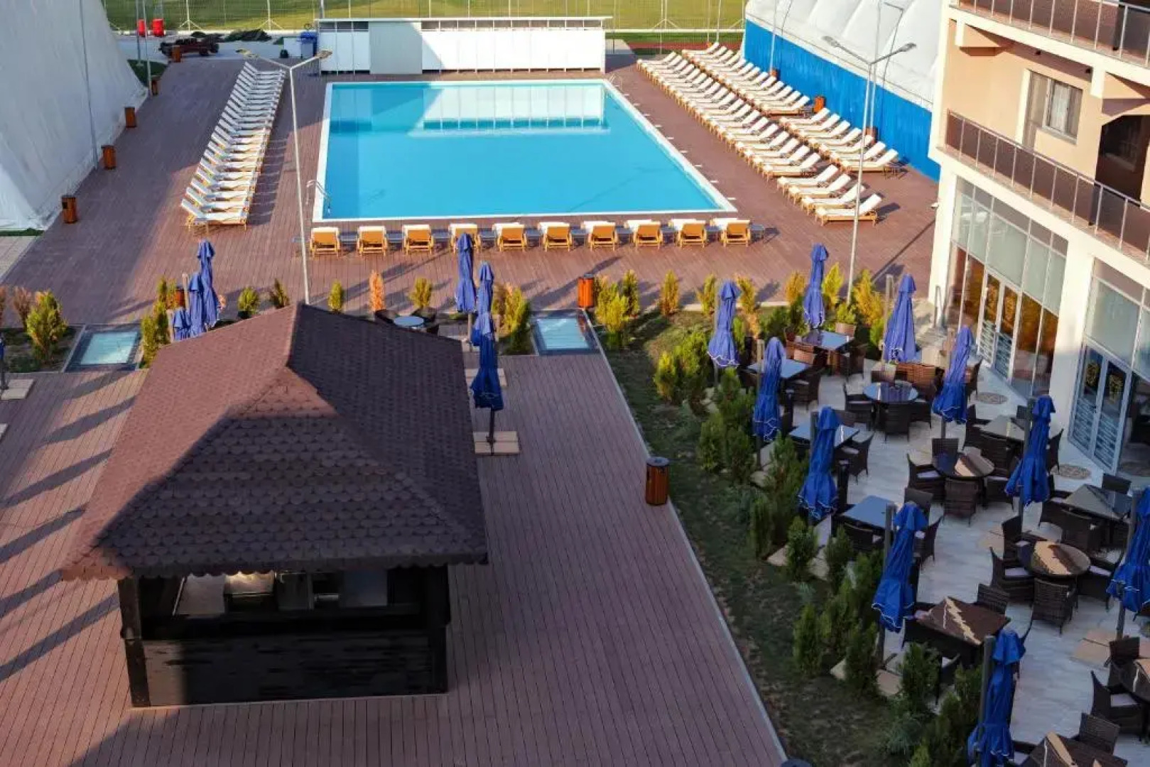 Premium Wellness Institute