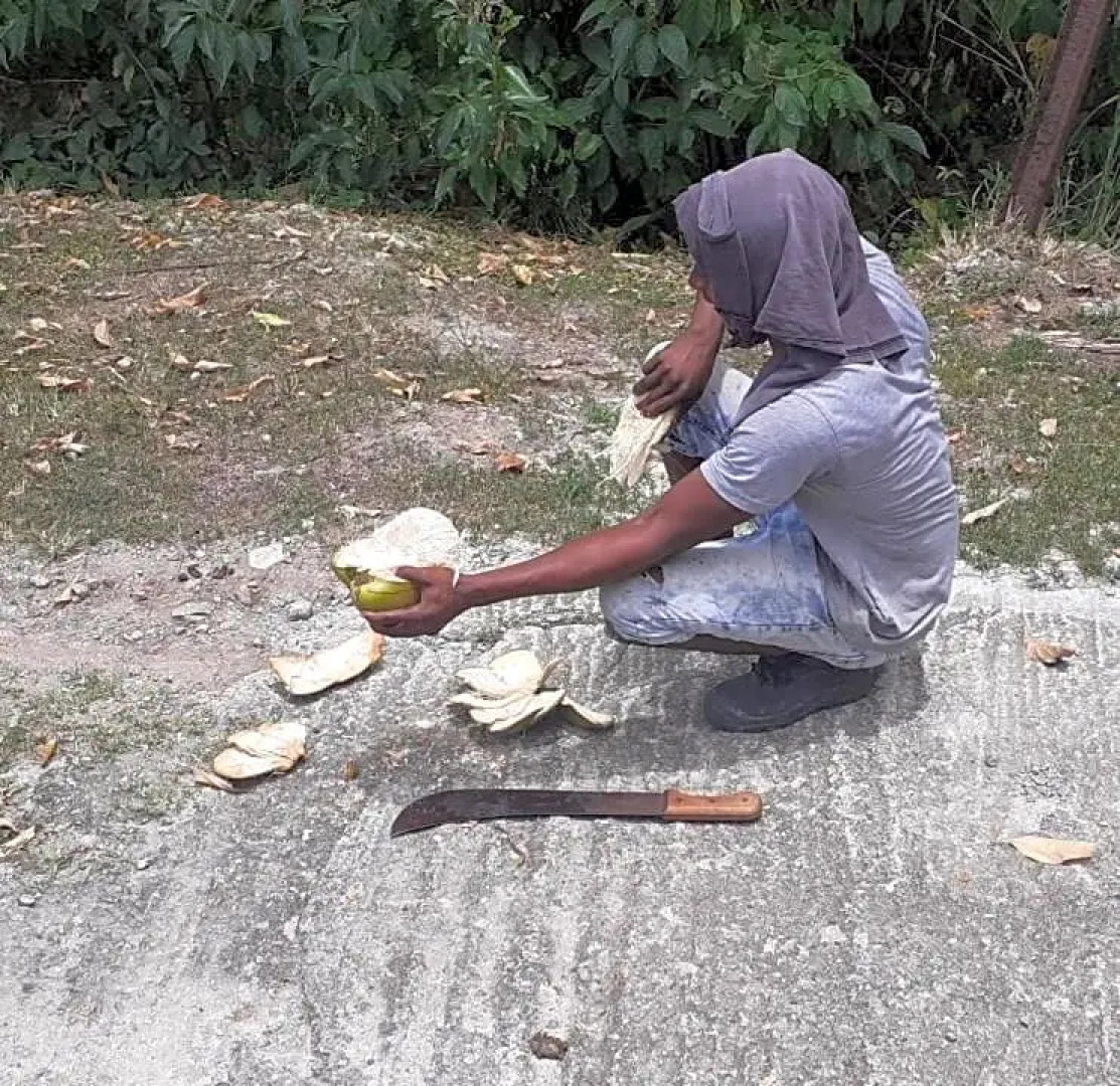 Chambre chez l'habitant avec piscine privative et vue panoramique sur la mer des cara¿s