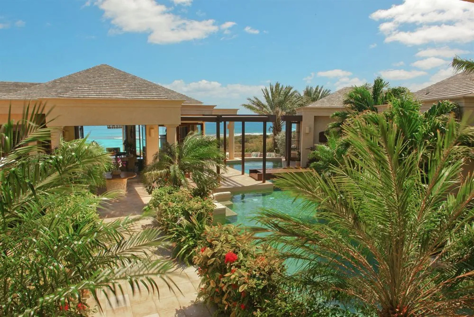 Anguilla's Bird of Paradise