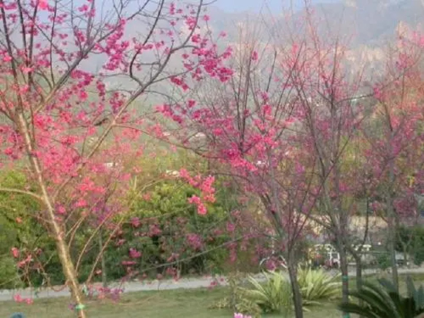 Lakeside Camping Resort