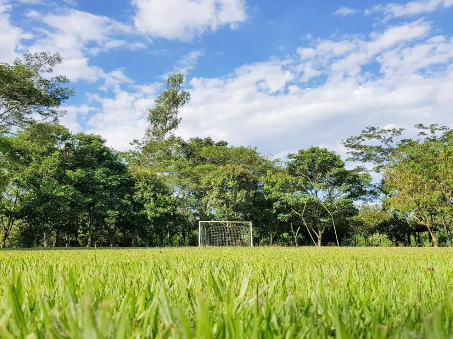 Grínberg's Village Hotel