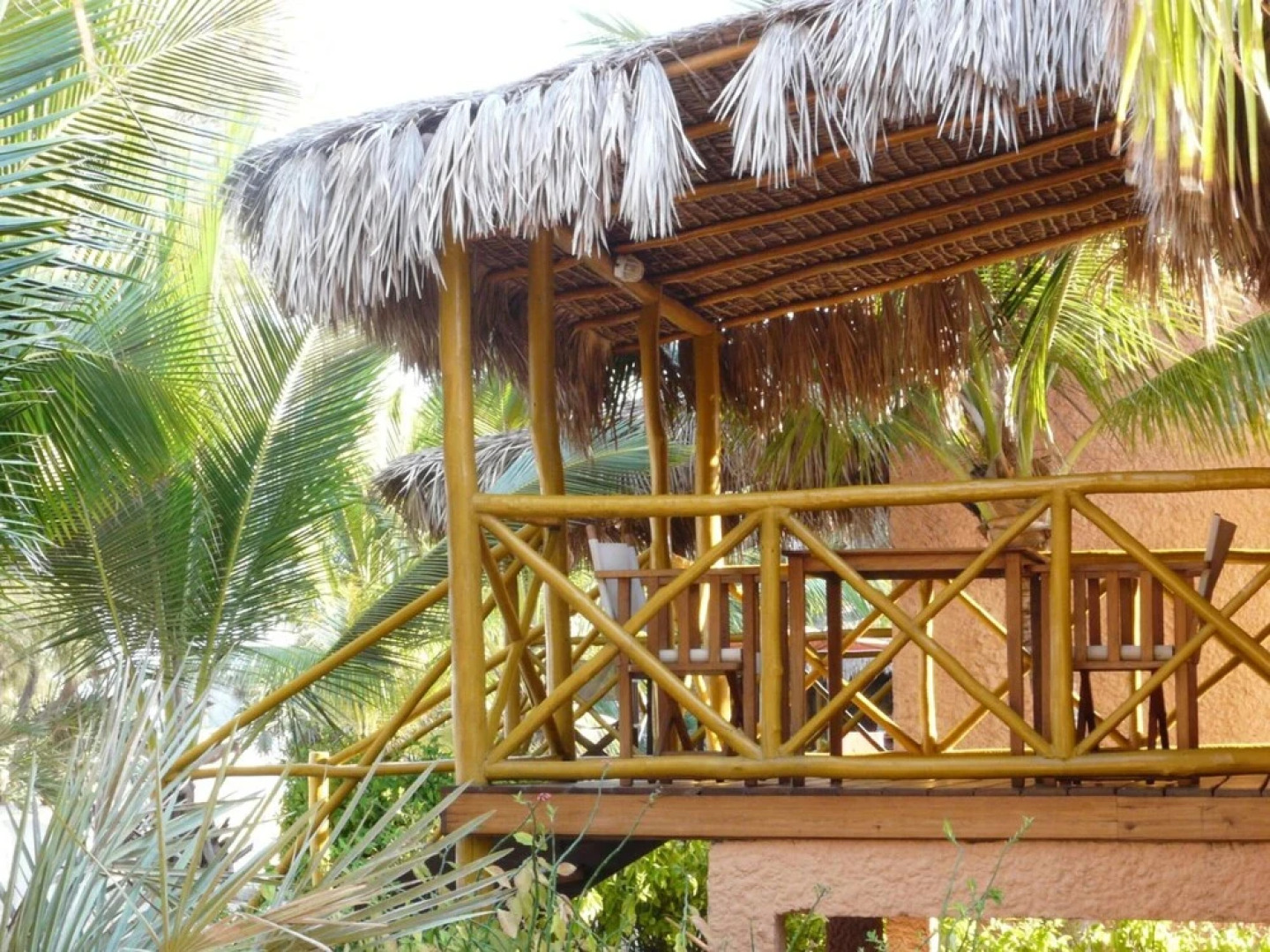 Palissandre Côte Ouest