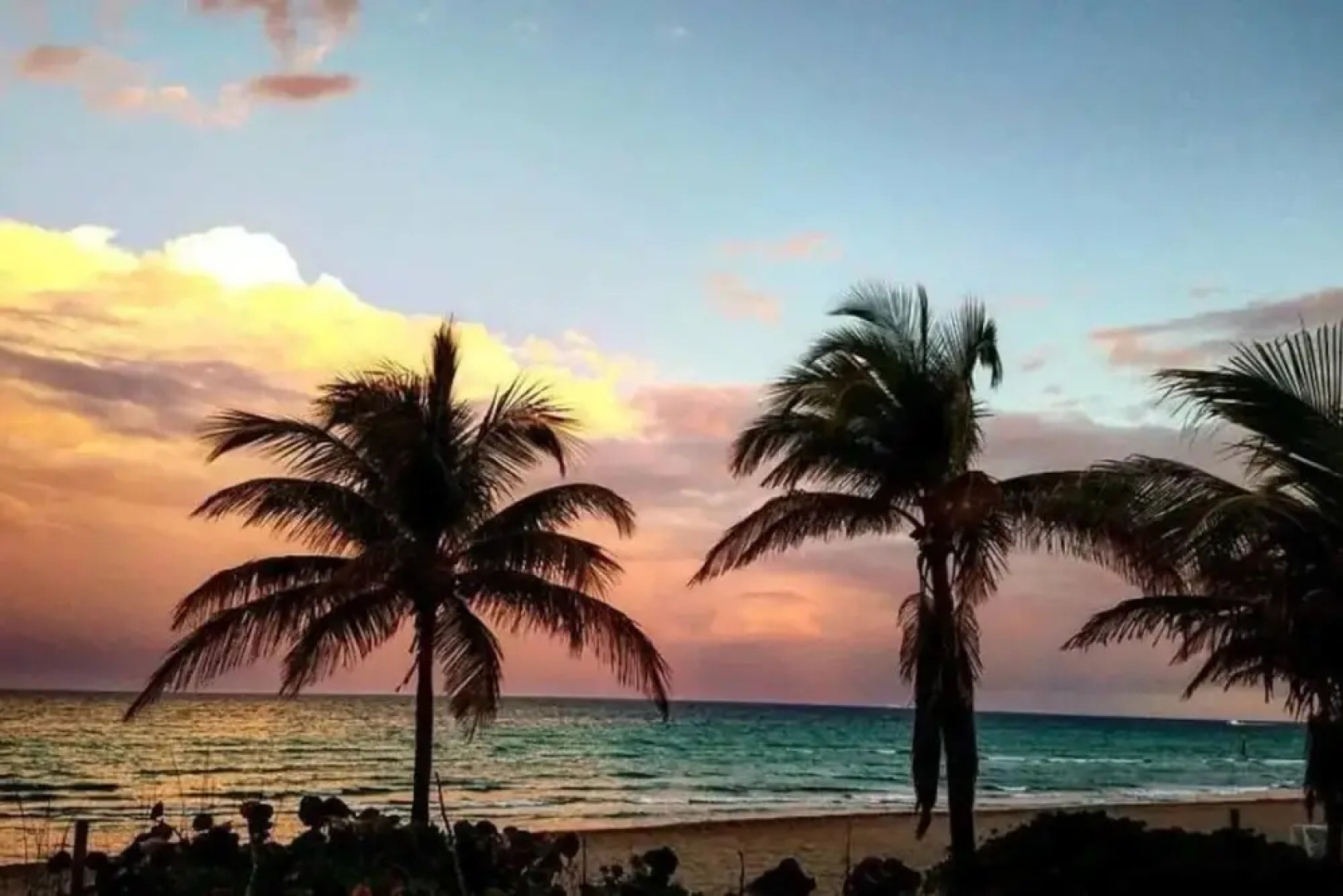 Amazing 1br apartment with pool, Hallandale Beach!