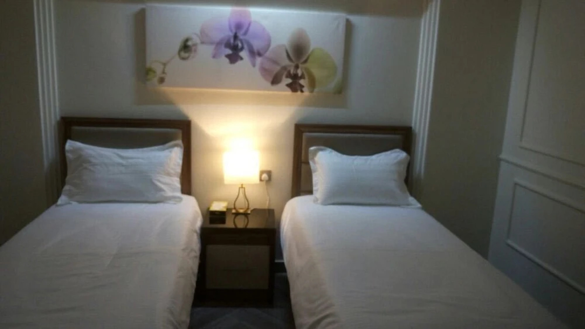 Tree Season Hotel & Resorts