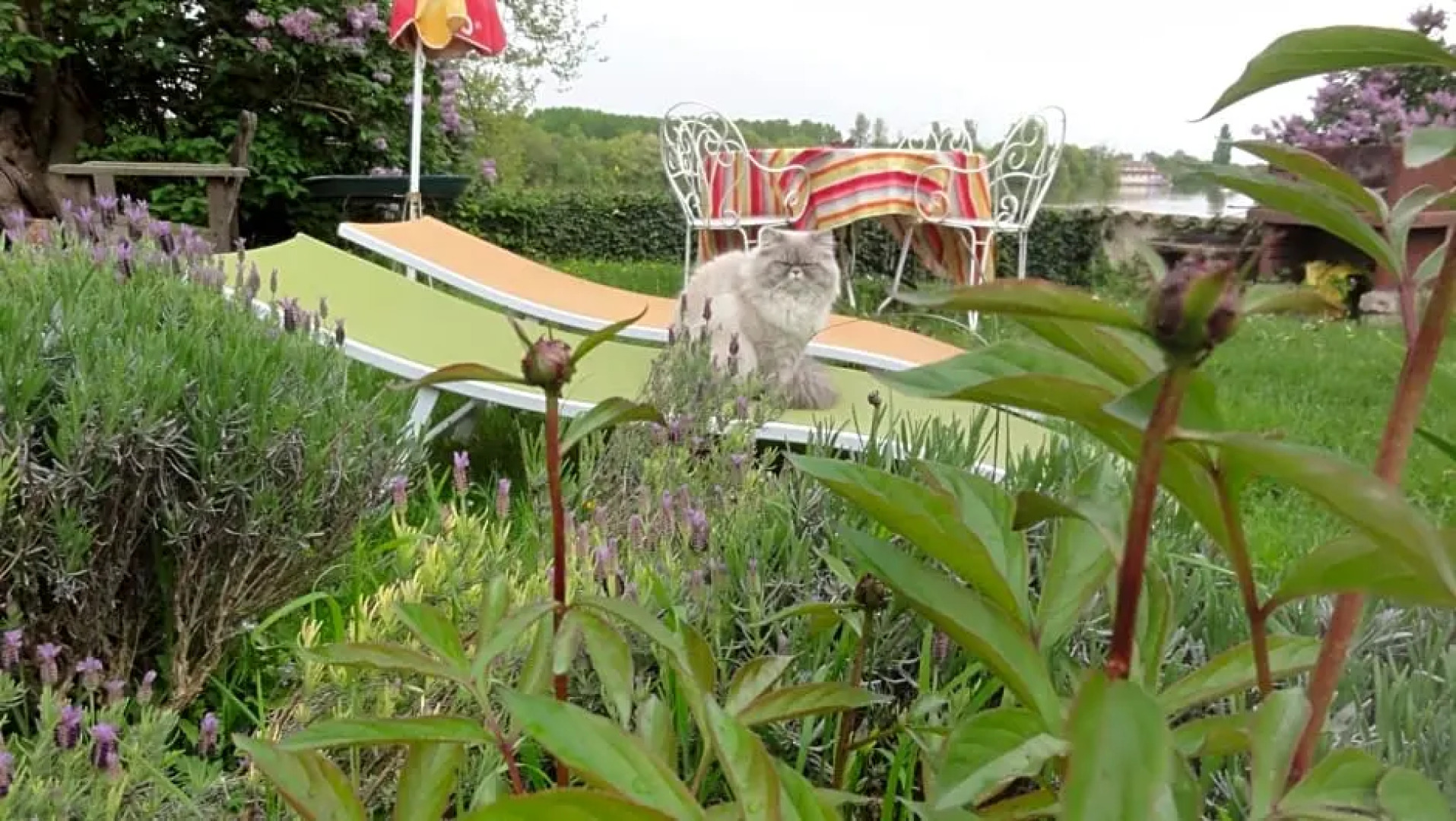 Chambre dhôtes Au Fil de lEau