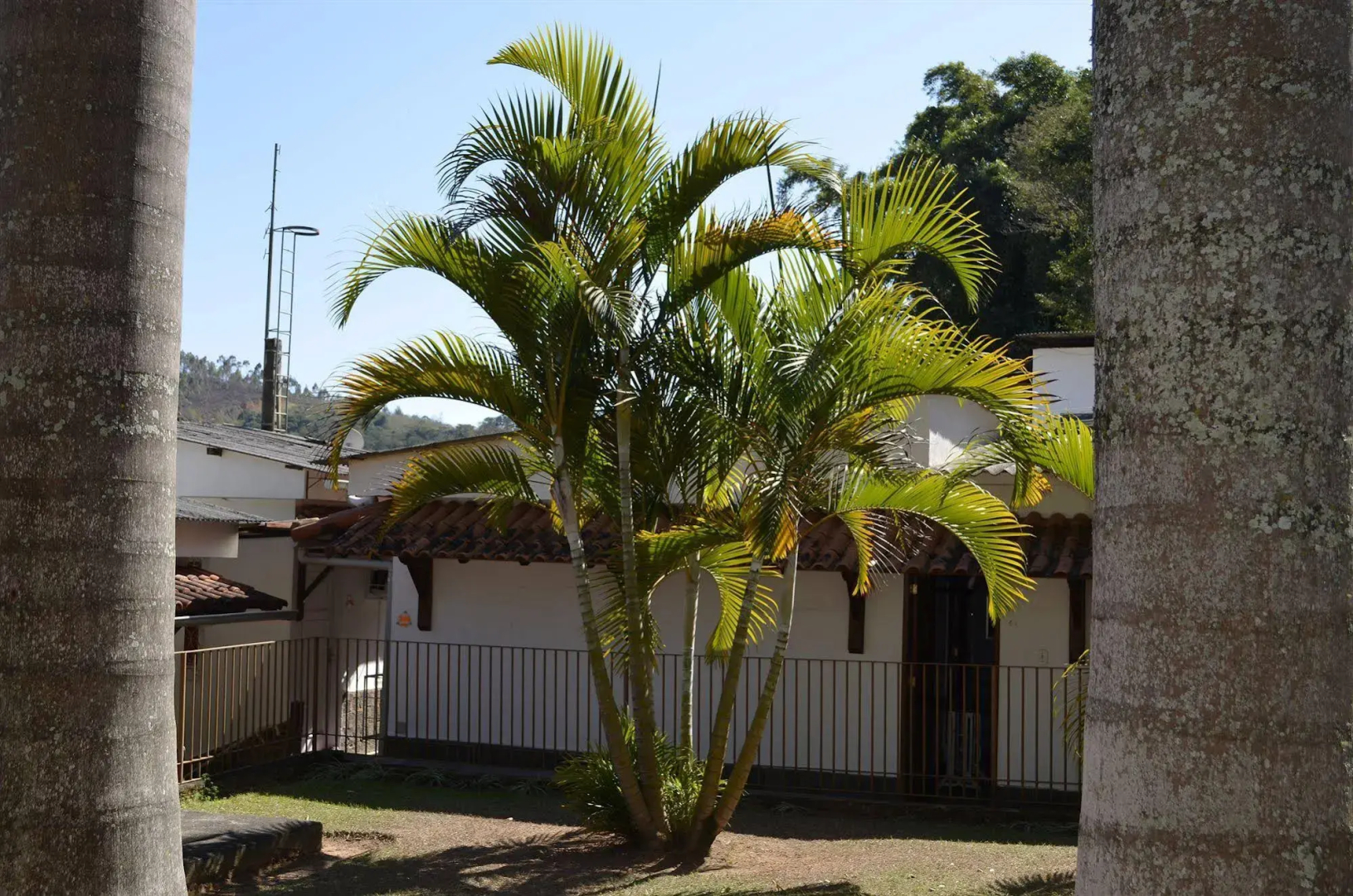 Pousada das Rosas