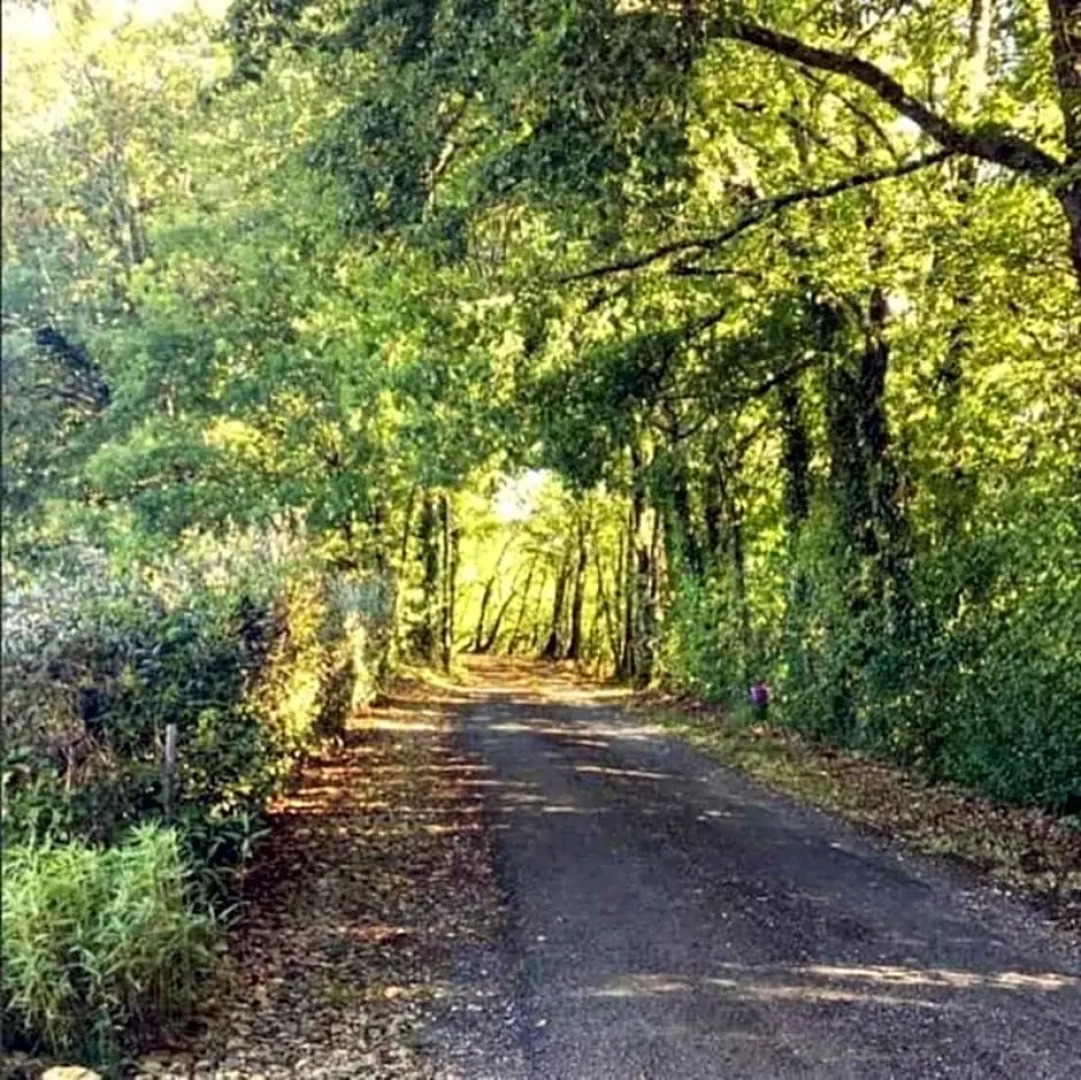 Chambre D'hotes la Cavaille