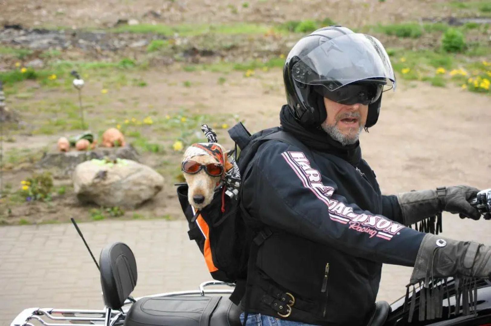 Ferienhaus Hollinger