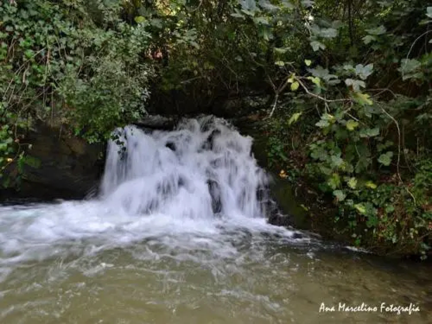Apartamentos Bau-Doce