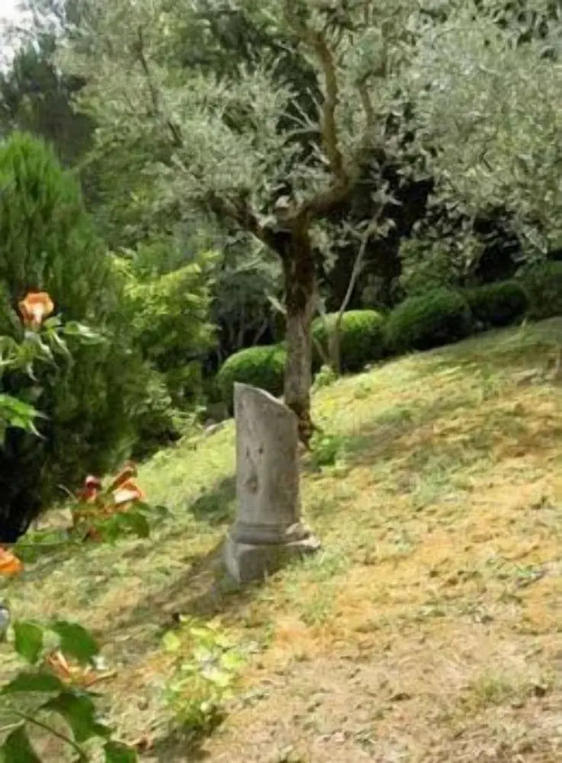 Agriturismo Villa Cicchi