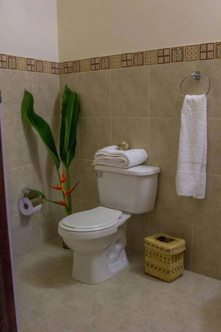 Hotel Amazon Bed & Breakfast