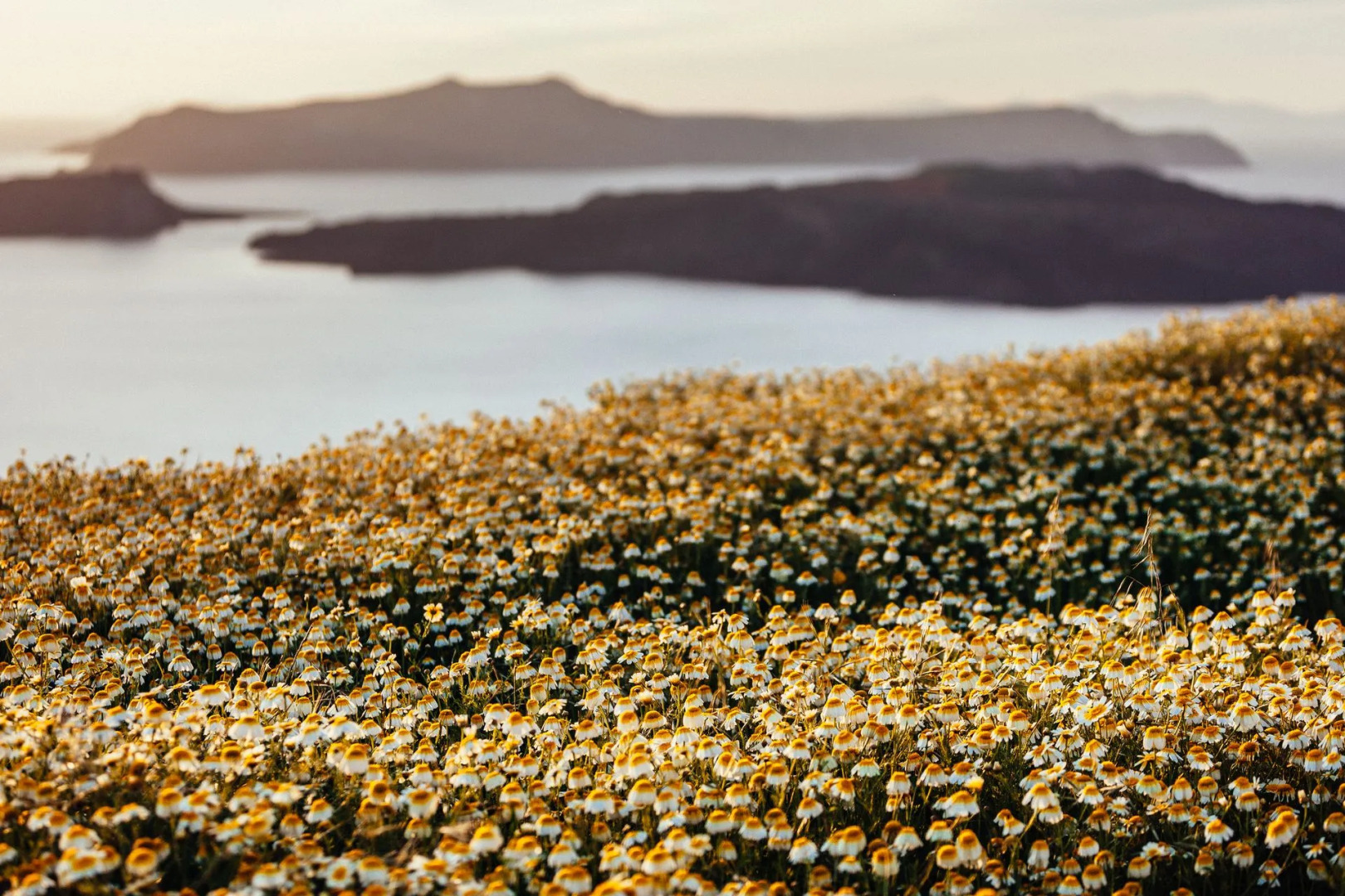 Aegagros Caldera Houses