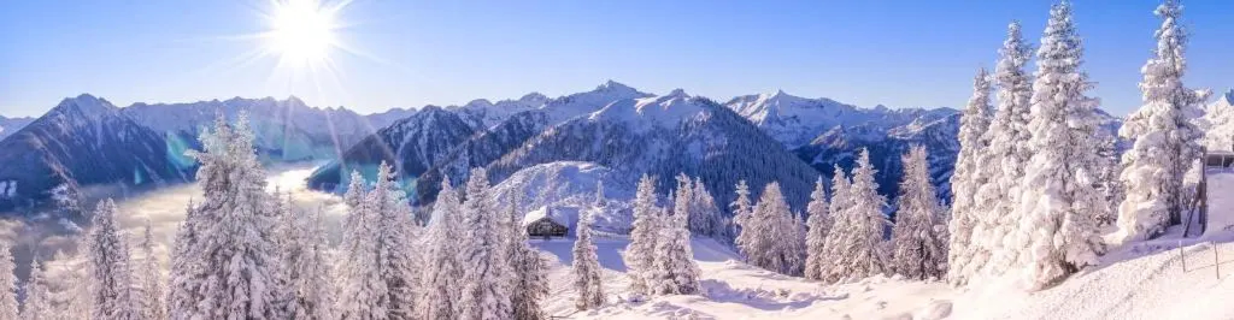 Sportpension Alpenrose