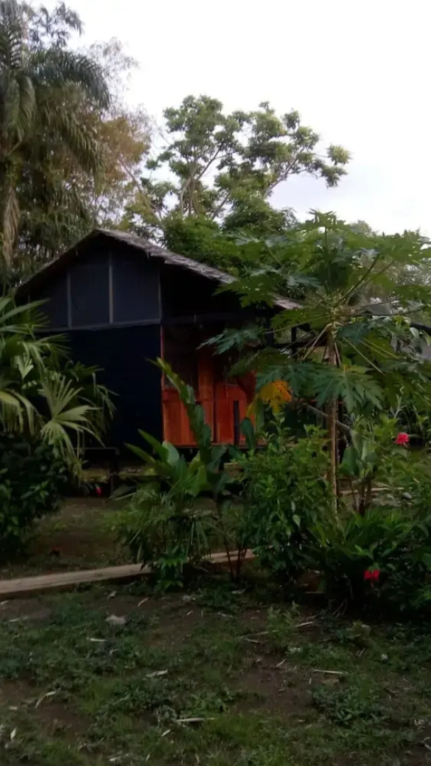 Rio Mar Bahía Solano Choco Colombia