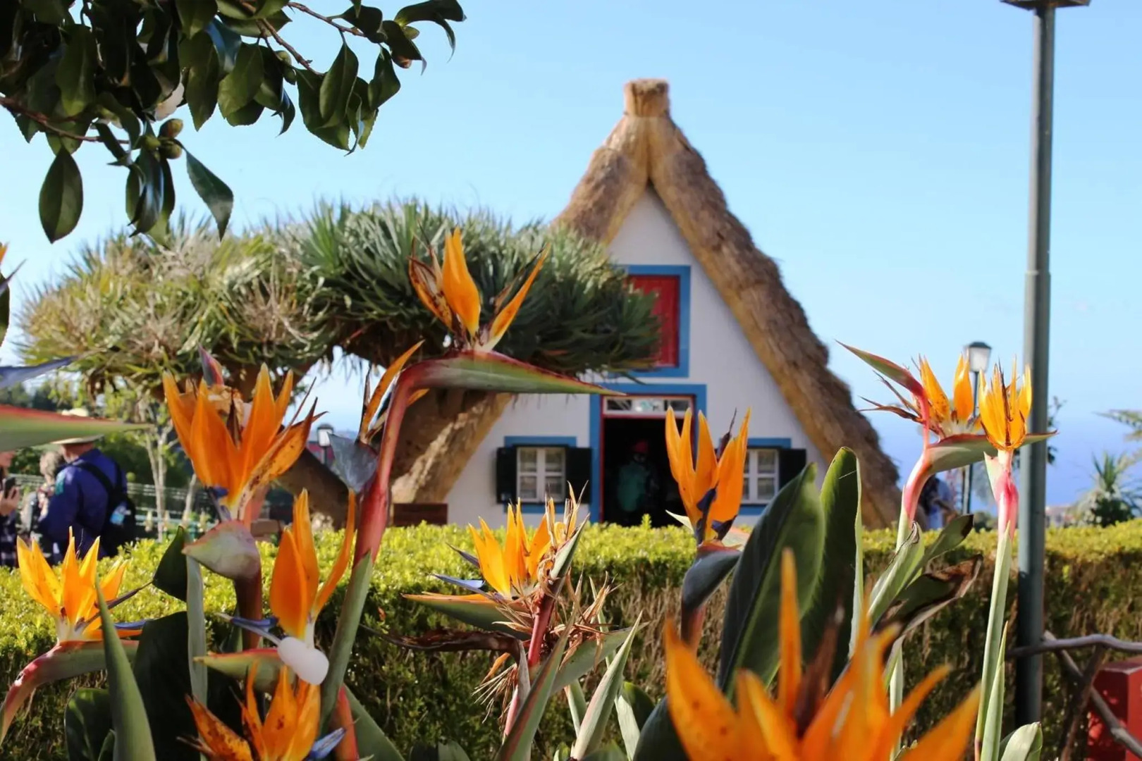 Villa Scirocco Madeira Ocean View