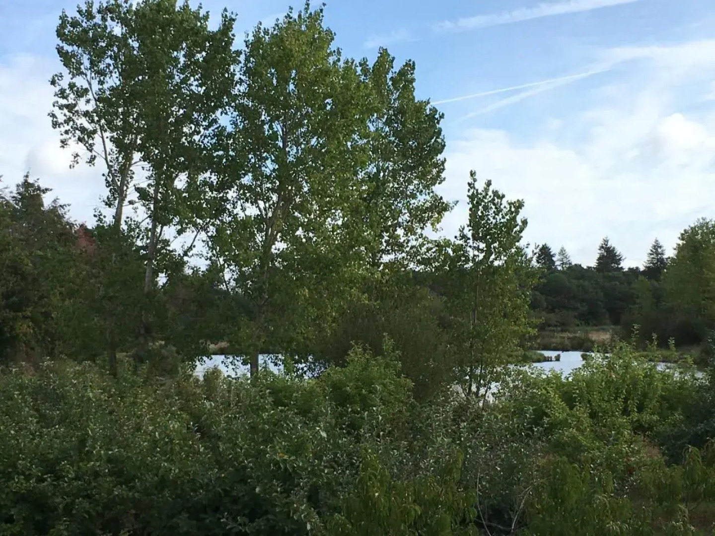 Le Gite De L'etoile Du Jour