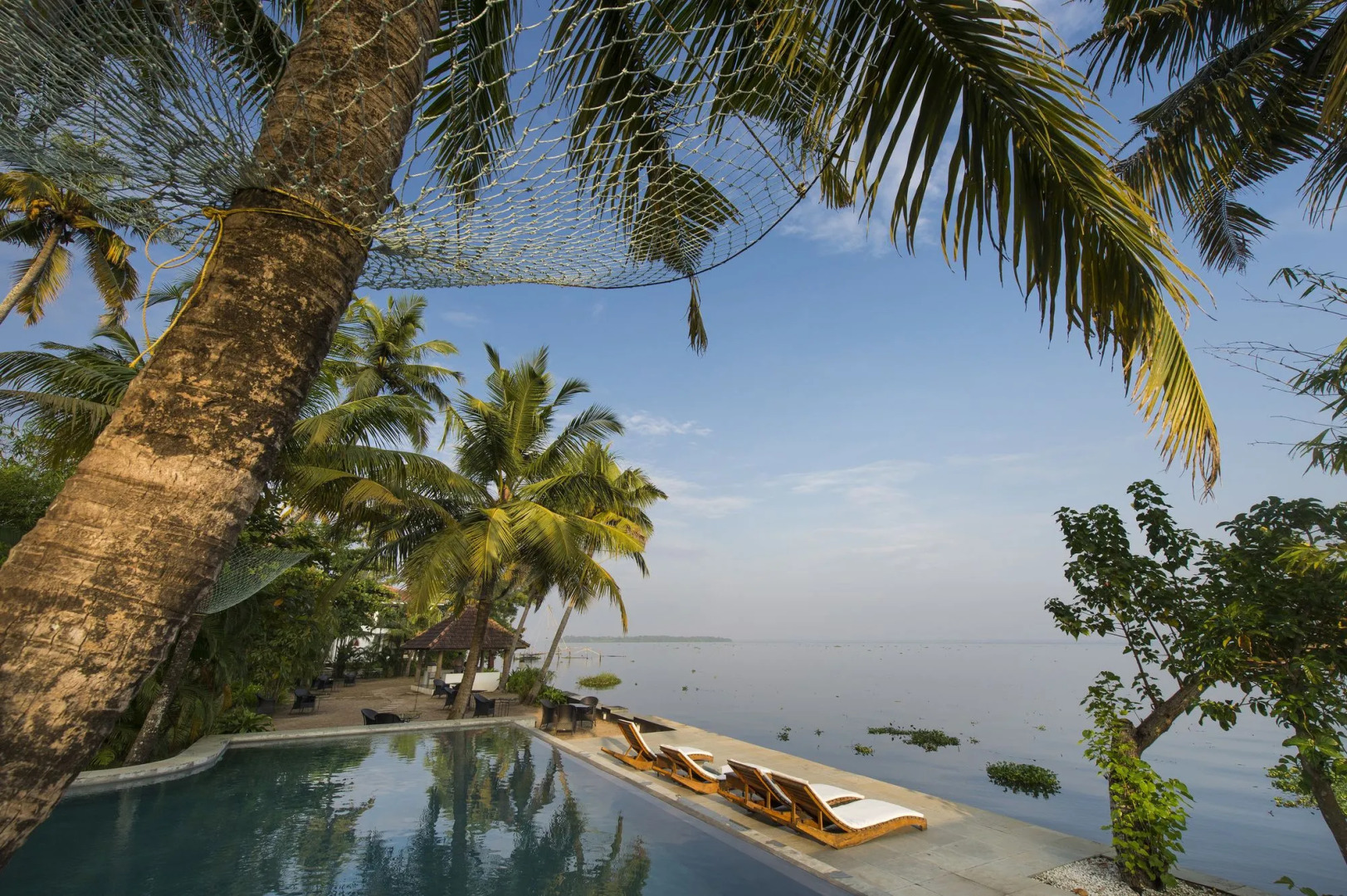 Purity at Lake Vembanad