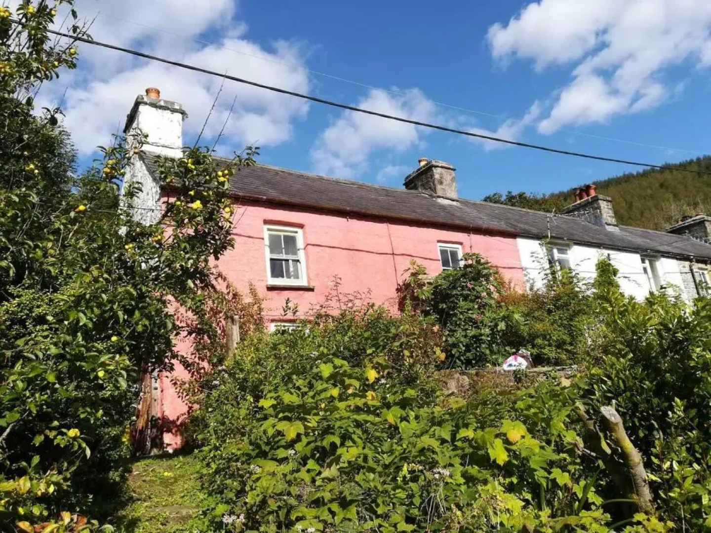 Relaxing pet Friendly 2-bed Cottage in Rhandirmwyn