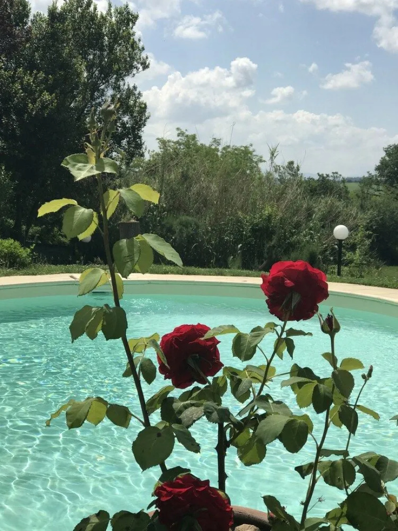 Il Lauro B&B