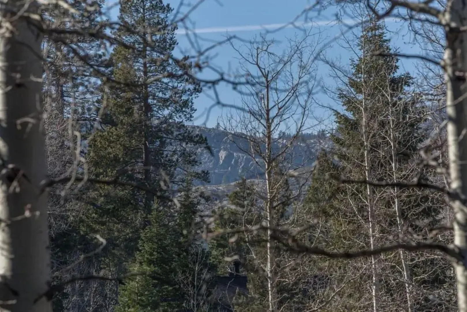 Snow Crest Rd Criterion 12 - Midnight