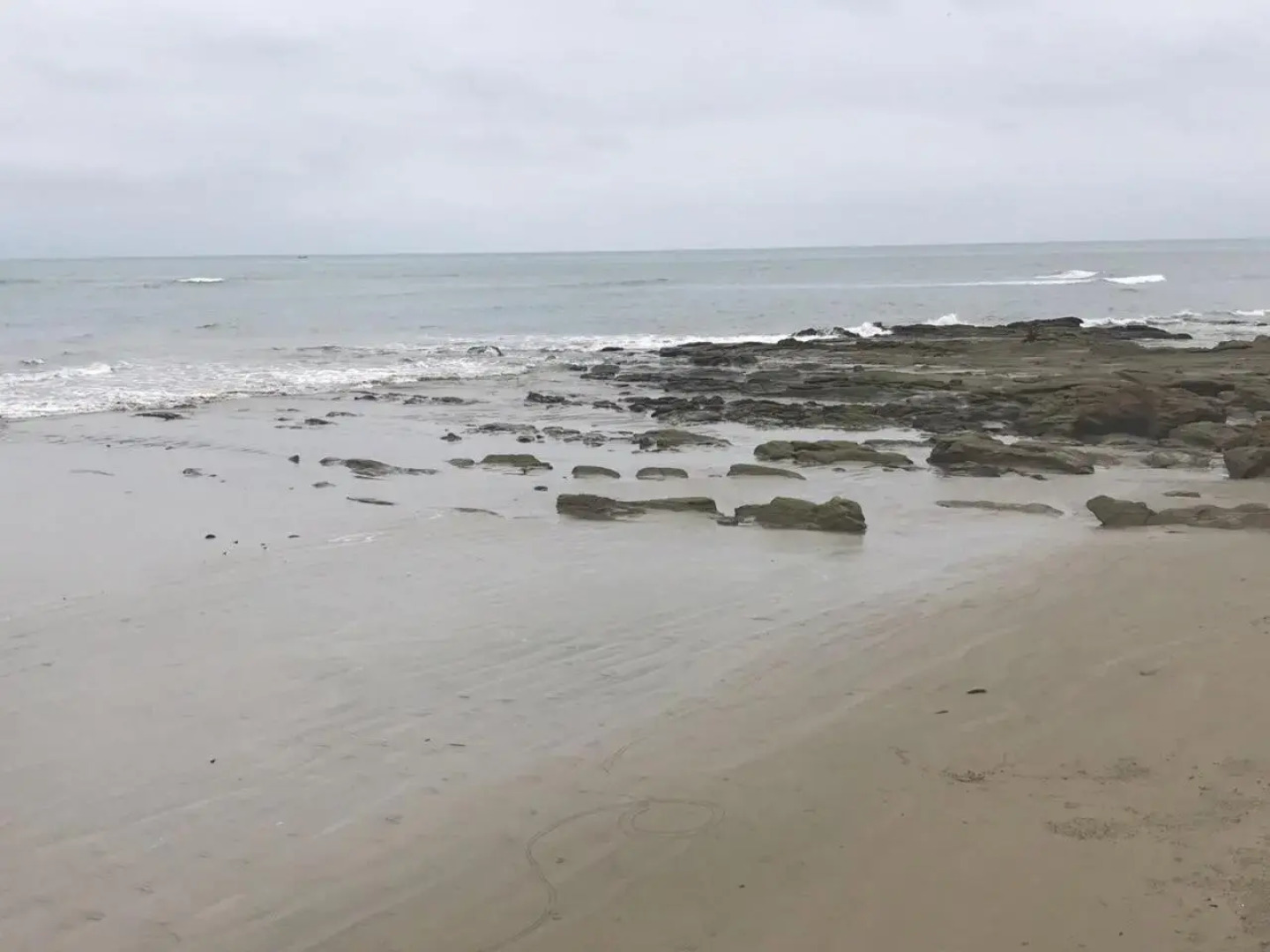 Blackpoint Ballenita