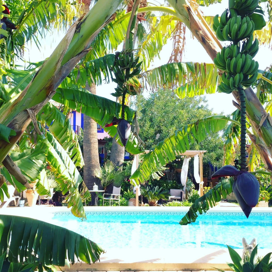 Hotel Altea Paradise 1917