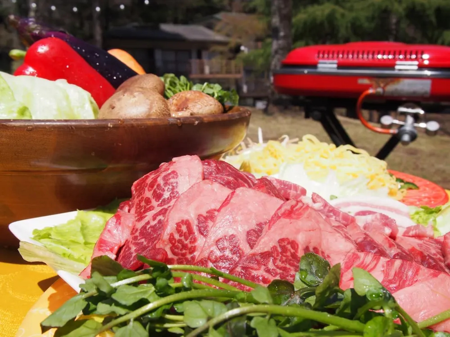 TKP Hotel & Resort Lectore Karuizawa