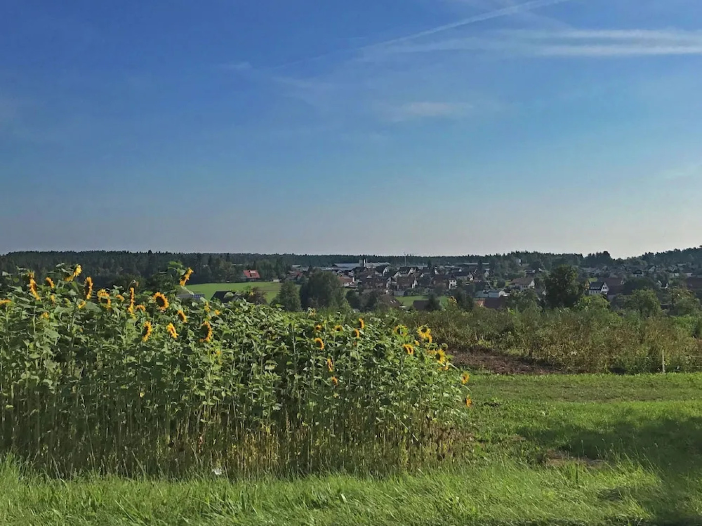 Apartment Marianne in Black Forest for 4 Person