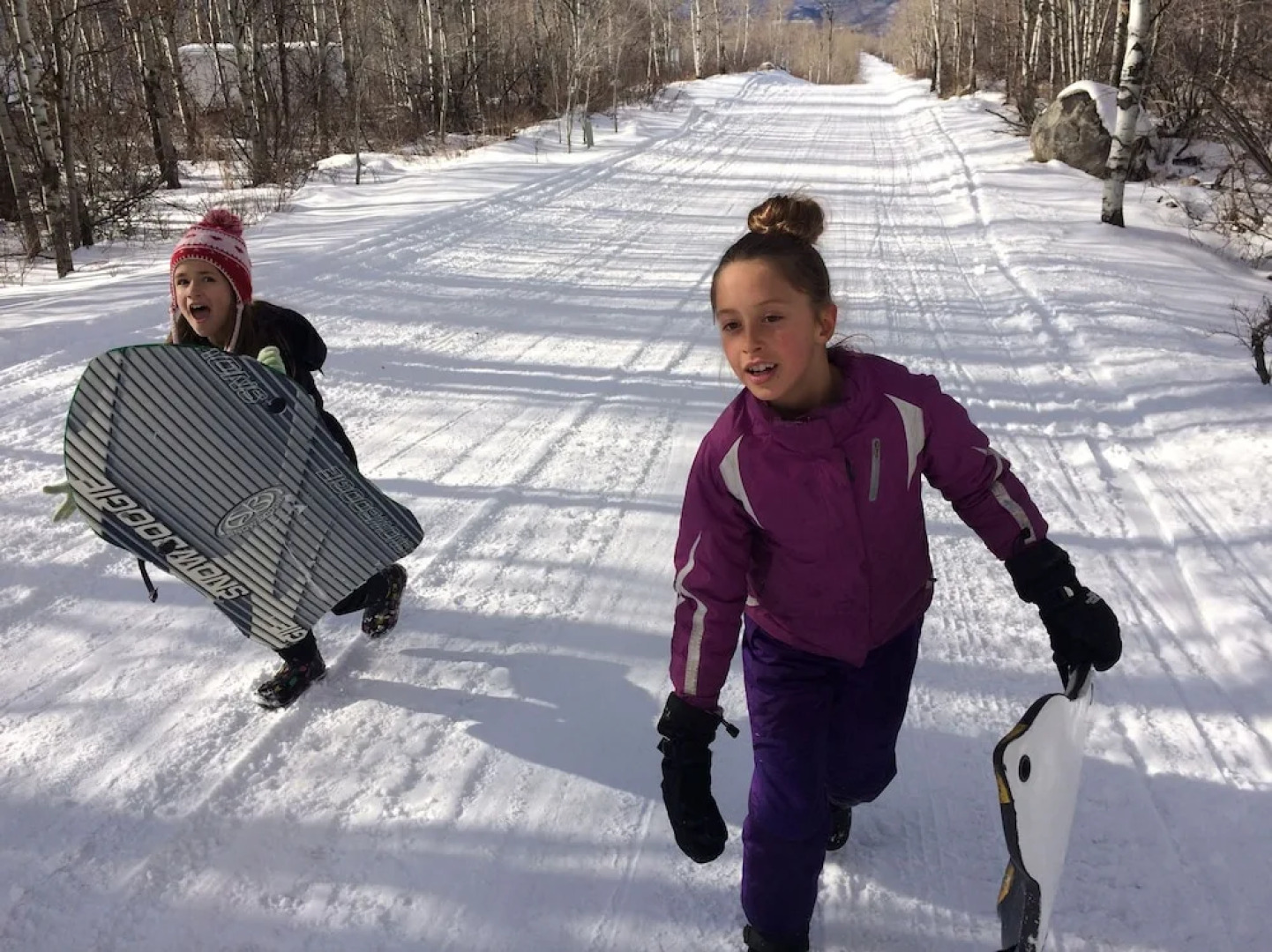 The Aspen Moose Vacation Cabin