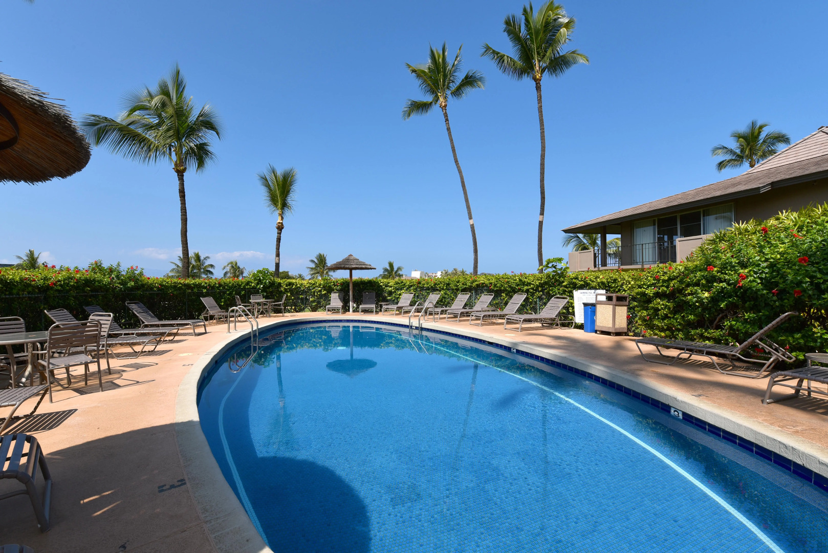 Eldorado K203 in Lahaina