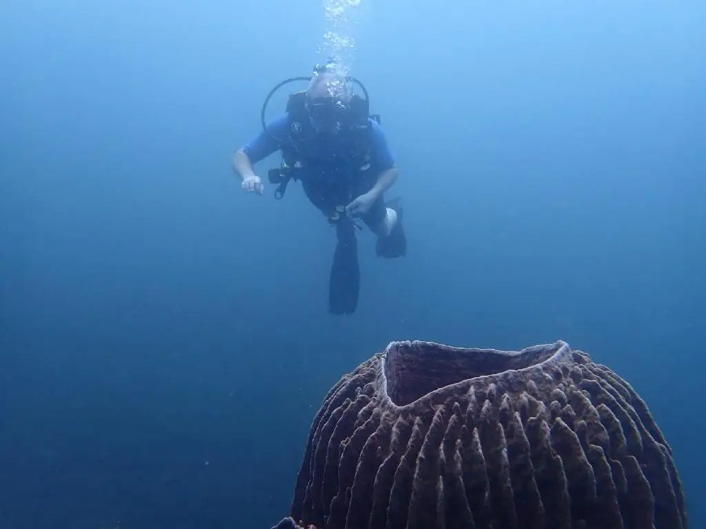 BlueHill Dive Resort Tulamben