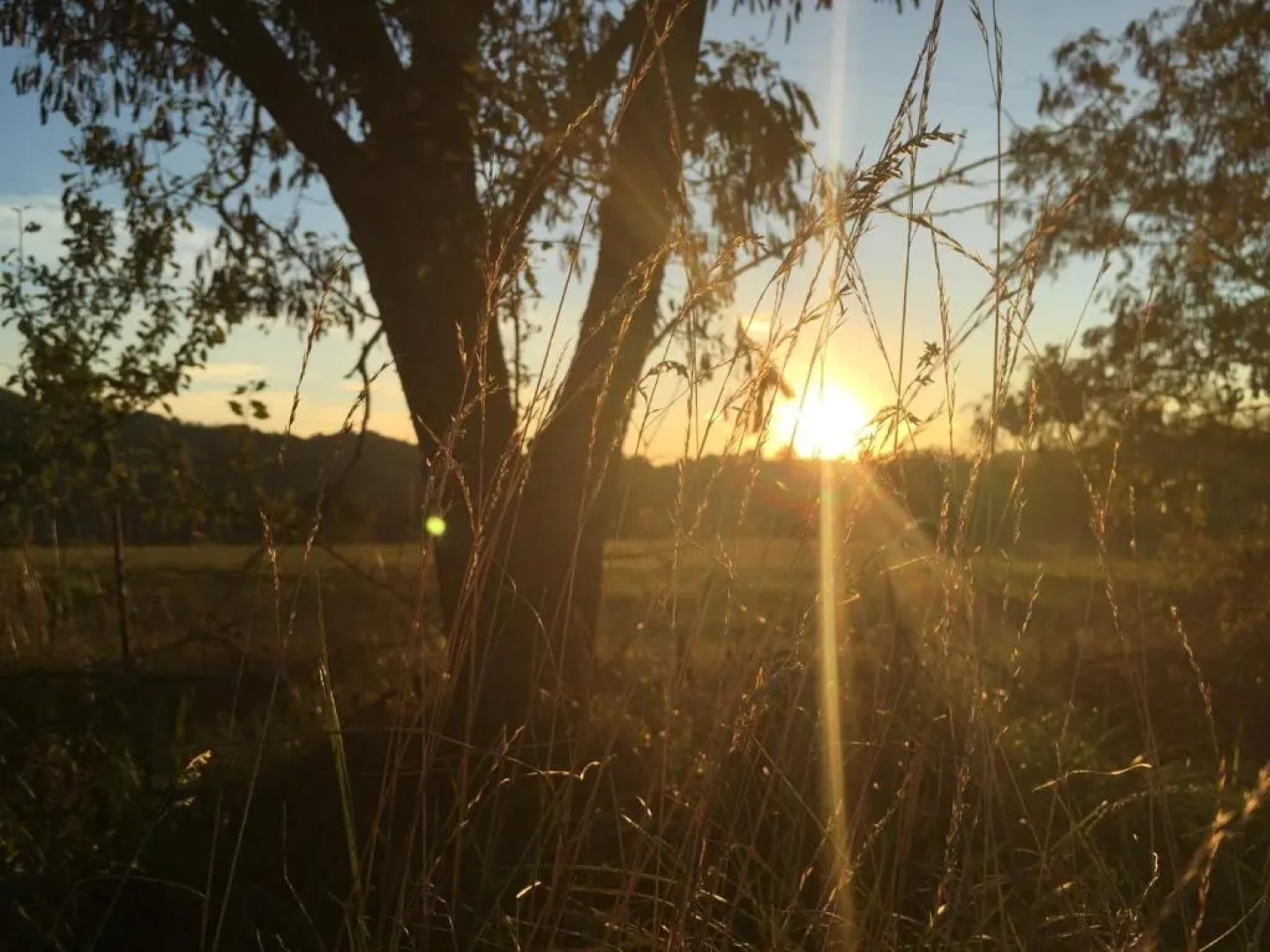 Agriturismo Poggio Paradiso