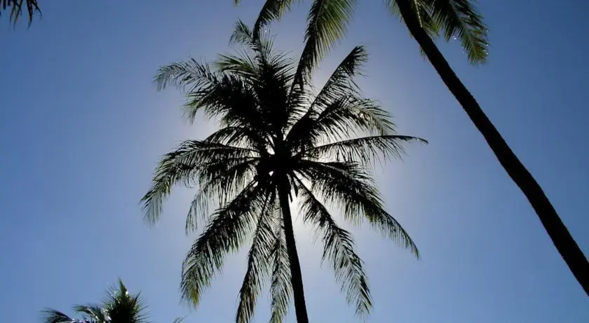 Kundalini Beach Houses