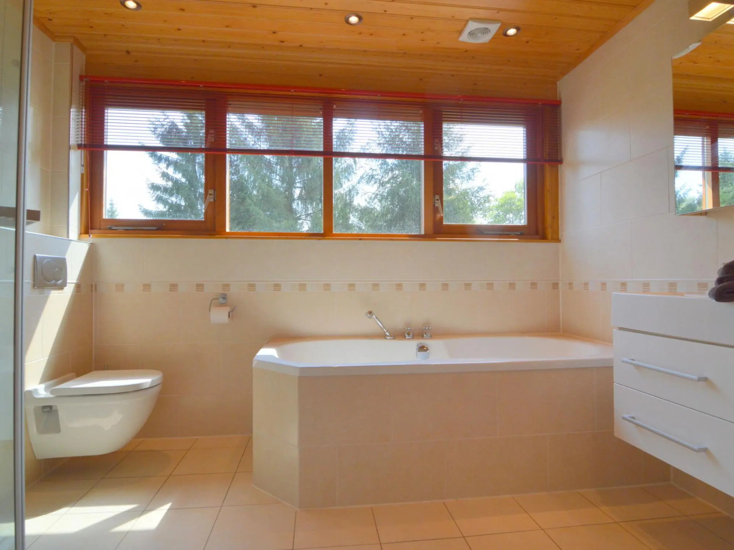 Beautiful wooden villa on a large private site on the Veluwe