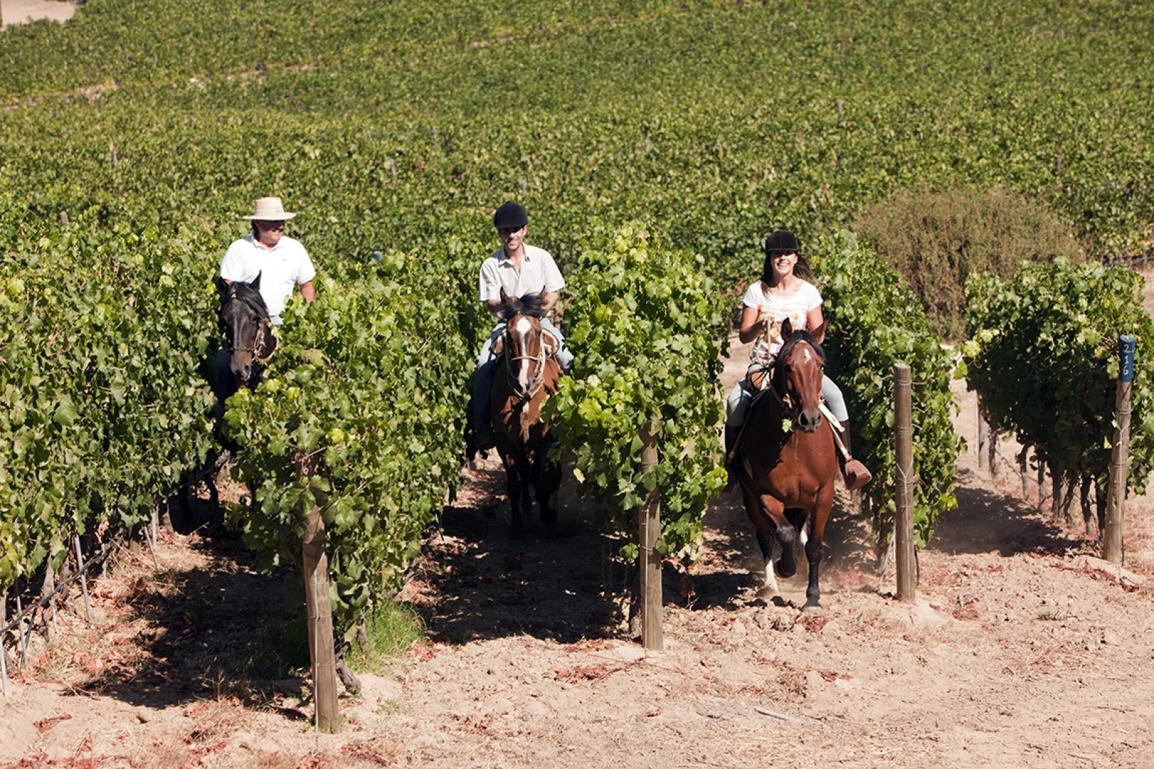 Clos Apalta Residence Relais & Chateaux