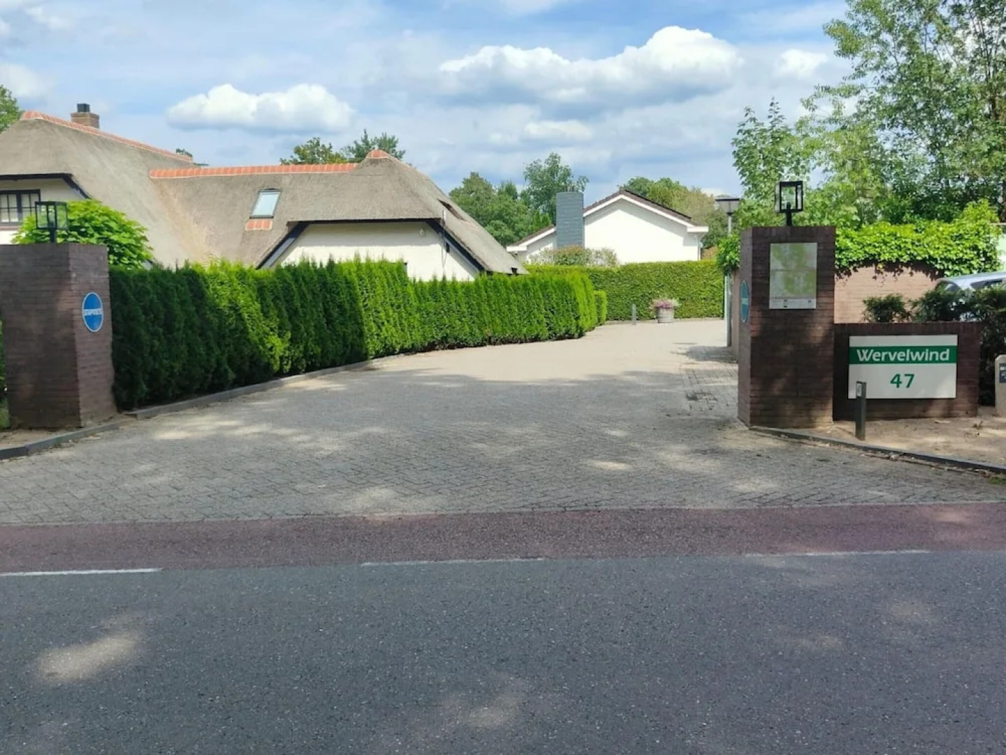 Home in the Dancing Forest