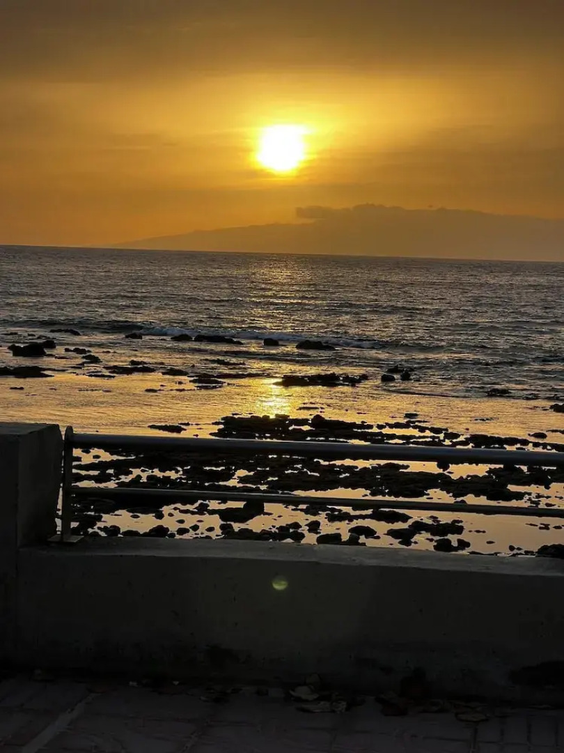 Elegant Palm Mar Apartment