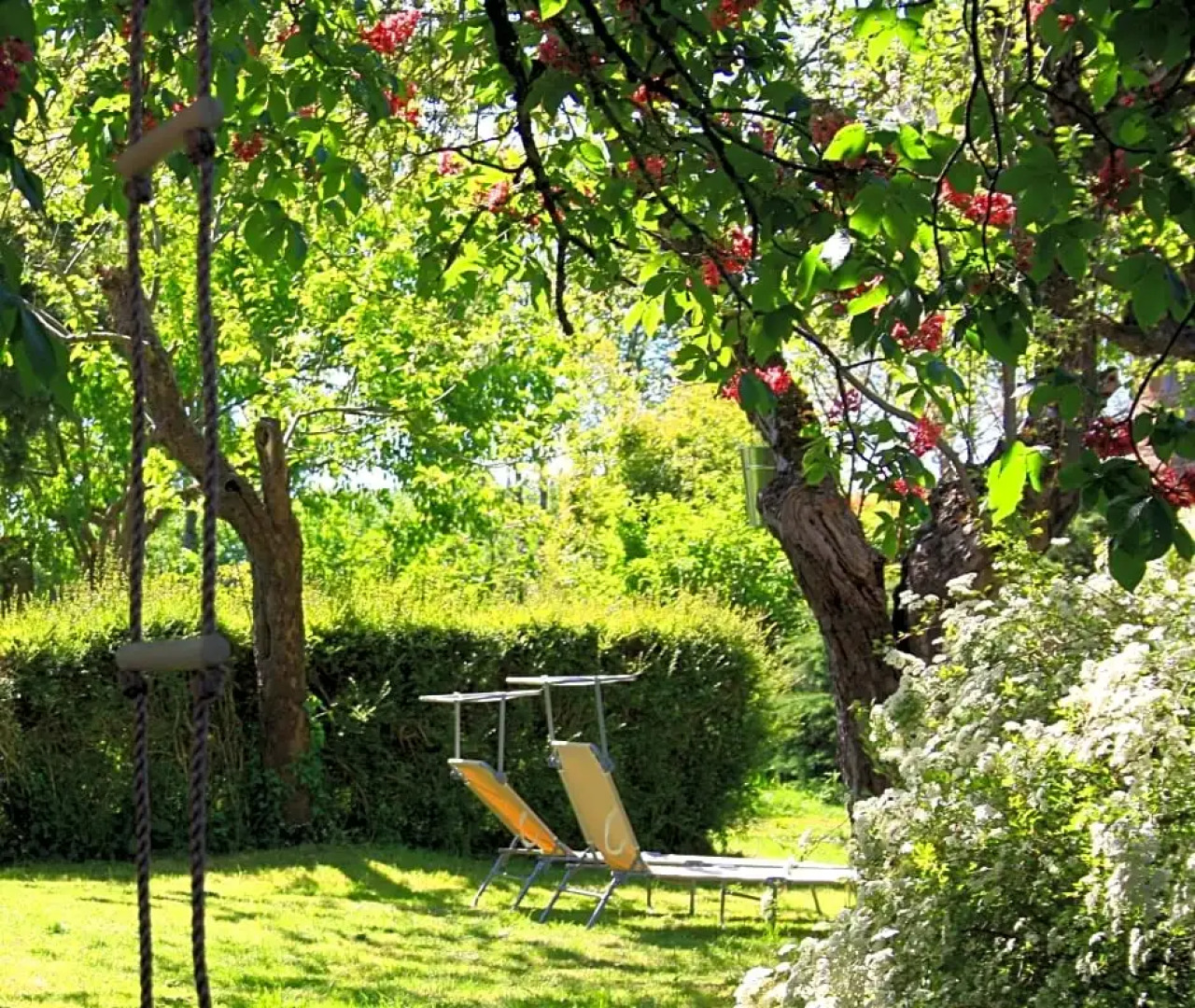 Domaine Charente - B&B / Familyroom Le Jardin (with external toilet & shower house)