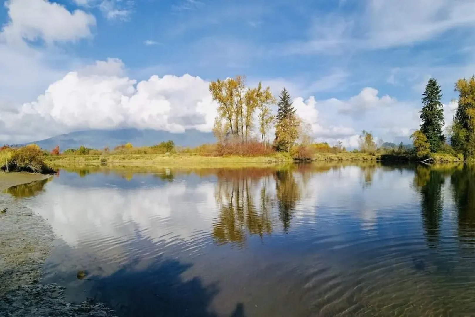 Cedar Manor Bed and Breakfast