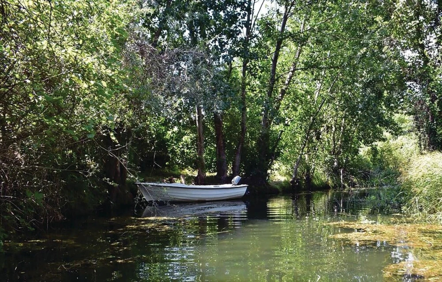 Nice Home in Bacinska Jezera With Wifi and 3 Bedrooms