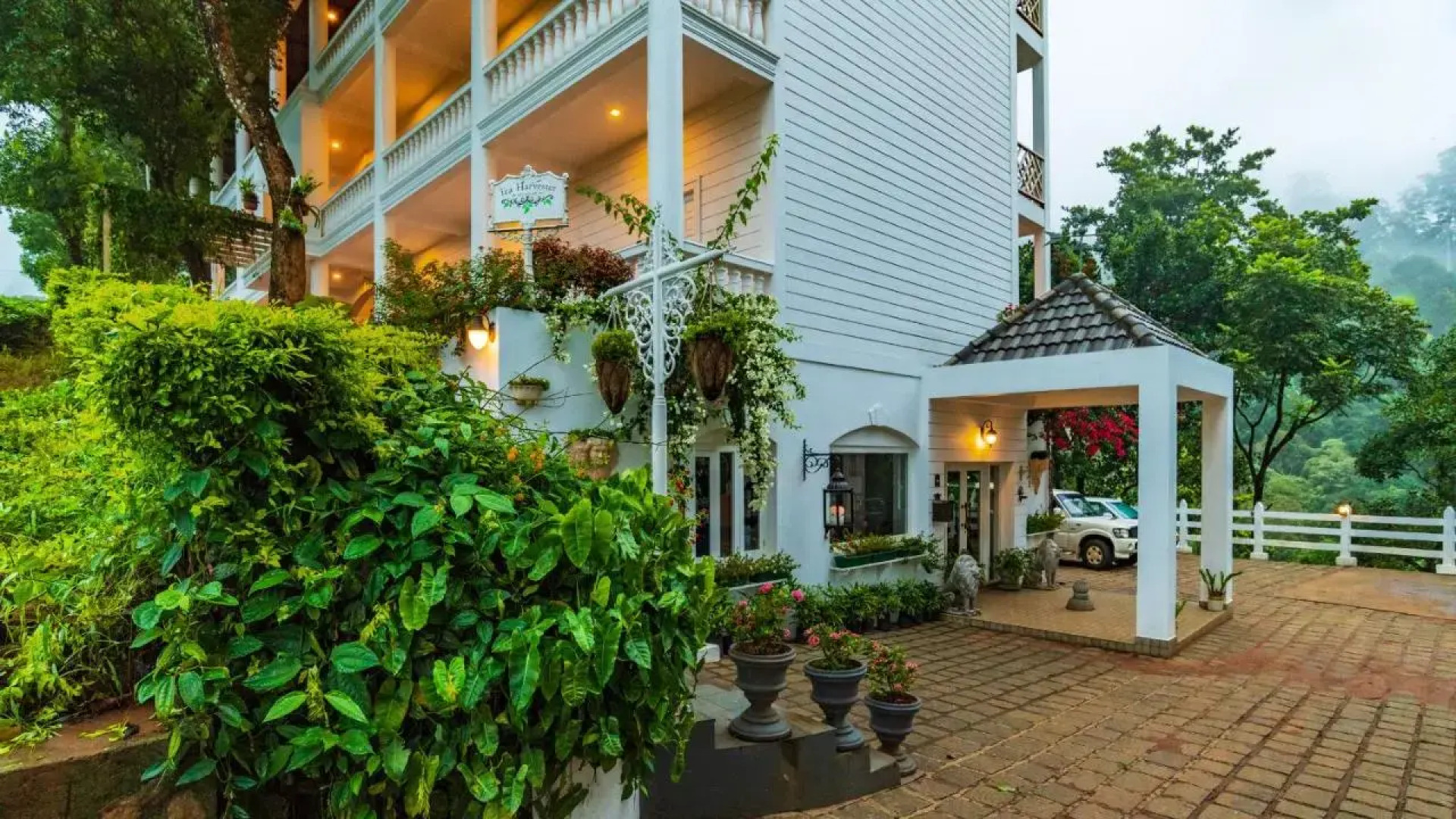 Tea Harvester Munnar