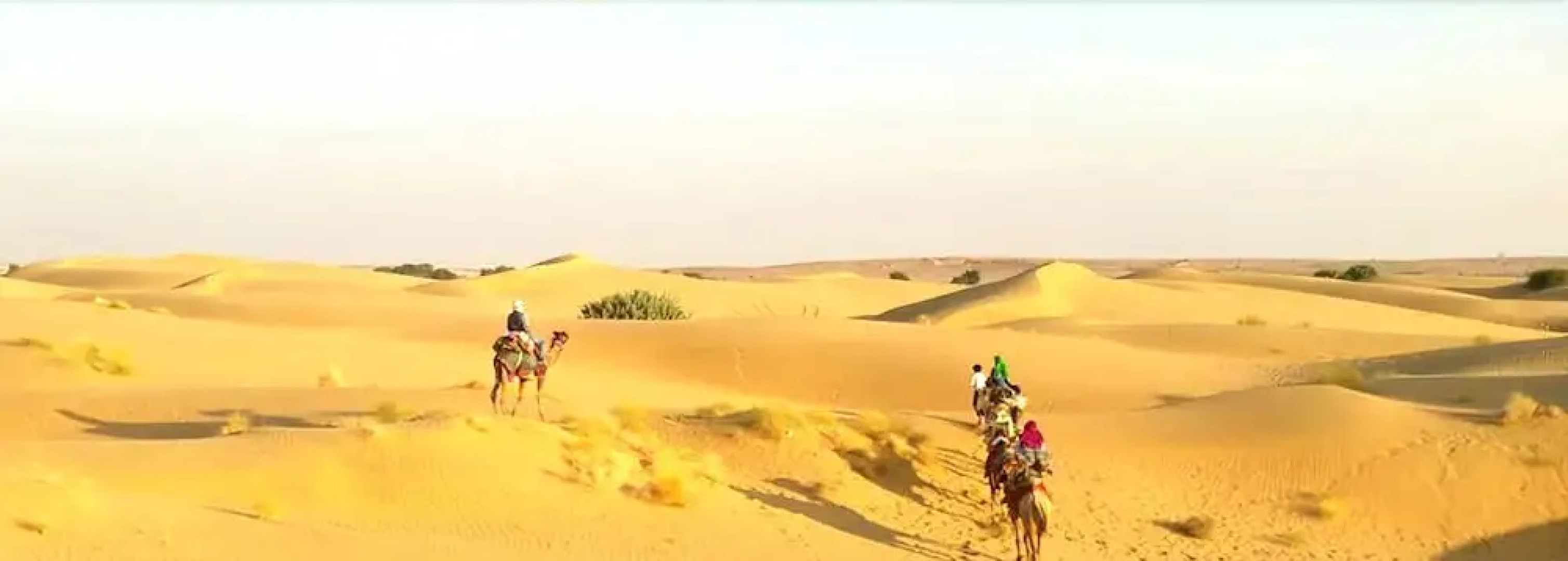 Abu Safari Jaisalmer