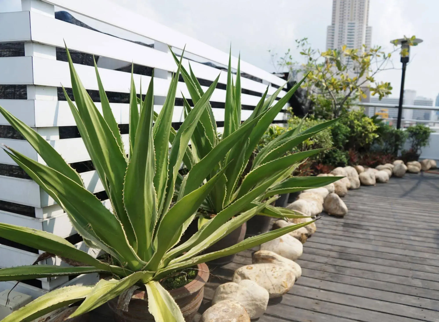 iCheck inn Mayfair Pratunam